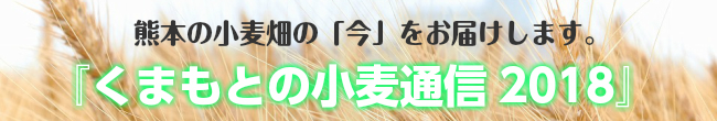 くまもとの小麦通信