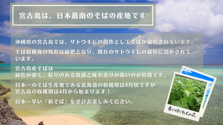 宮古島は日本最南の蕎麦の産地です。沖縄県の宮古島ではサトウキビの間作としてそばが栽培されています。そば収穫後の残幹は緑肥として既存のサトウキビの栽培に活かされています。宮古島そばは緑色が強く、粘りのある食感と味や香りが強いのが特徴です。日本一のそば生産地であるの収穫期は9月頃ですが、宮古島の収穫期は4月から始まります！日本一早い新そばをぜひお楽しみください